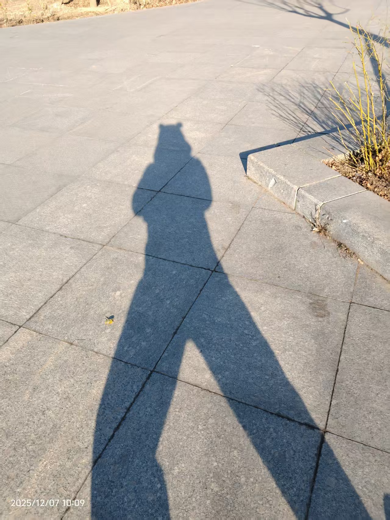 陪黑蛋户外，戴着熊猫帽子的影子