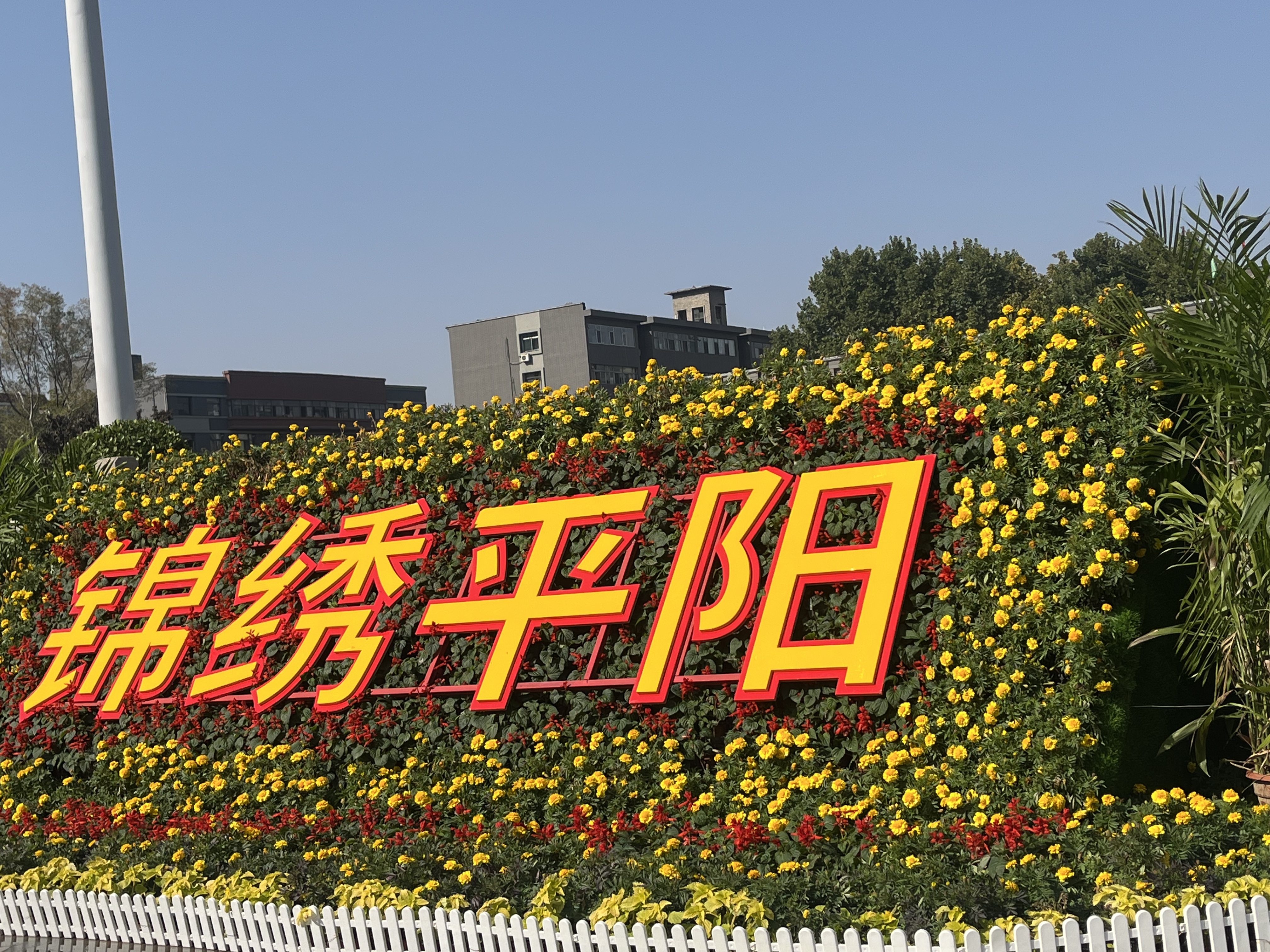 微信图片_20261010133355.jpg